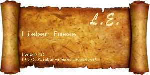 Lieber Emese névjegykártya